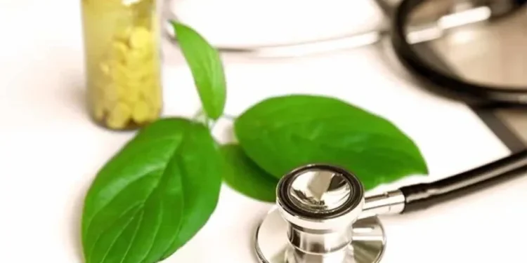 The Role of a Naturopathic Doctor in California in Managing Stress and Anxiety